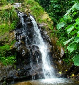 waterfall Gishwati